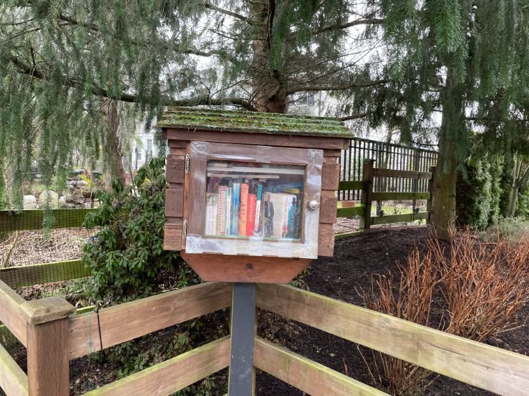 summerfield little free library