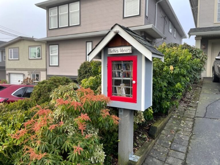 Mieke's little free library